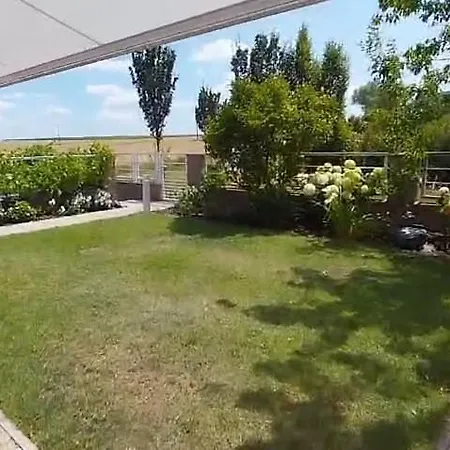 Garden *